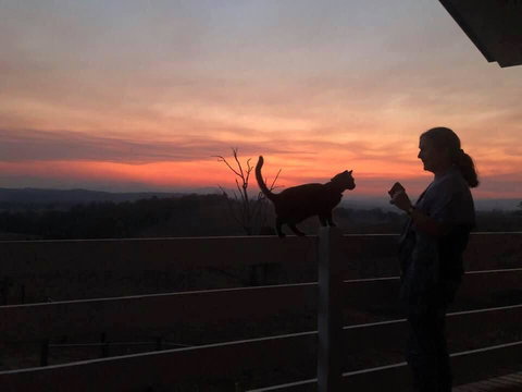 Farringdon Homestead - Accommodation Main Beach 1