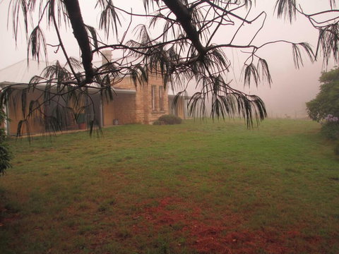 Ferndale B&B - Accommodation Main Beach 1