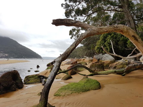 Fish Creek Alkira Accommodation - Accommodation Main Beach 1