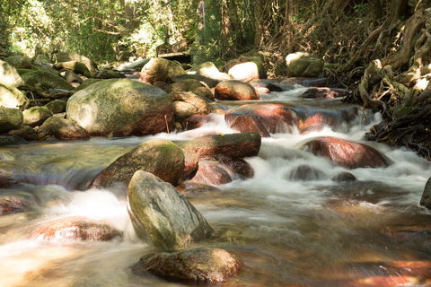 Fishery Falls Holiday Park - Accommodation Main Beach 1