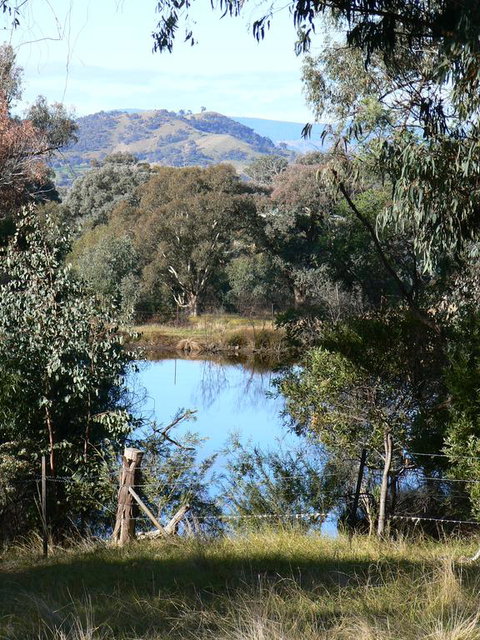 Gaddleen Grove Cottages - Accommodation Main Beach 3