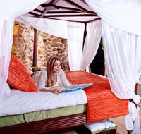 Gaiananda Treehouse - Accommodation Main Beach