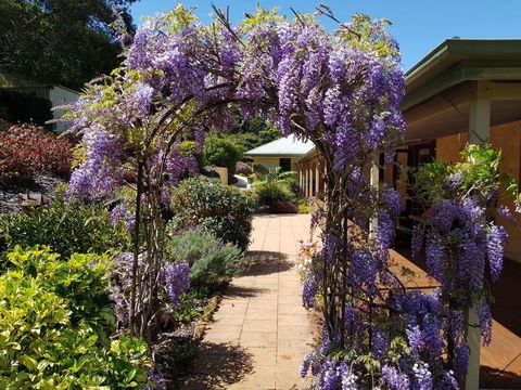 Gumtree House Montville - Accommodation Main Beach 0