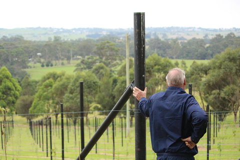 Gzone Farmstay - Accommodation Main Beach 2