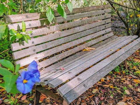 Hakea Bush Cabin - Accommodation Main Beach 3