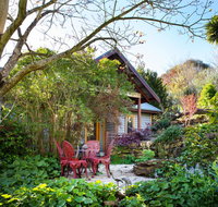 Hills End Camellia - Accommodation Main Beach