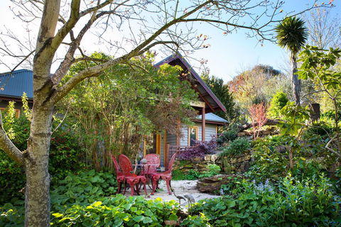 Hills End Camellia - Accommodation Main Beach 0