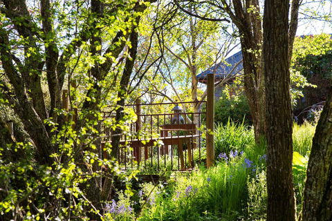 Hills End Camellia - Accommodation Main Beach 3