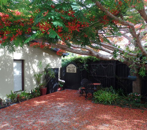 Hilltop B&B - Accommodation Main Beach 2