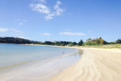 Hobart Beach Front Cottage - Accommodation Main Beach 0
