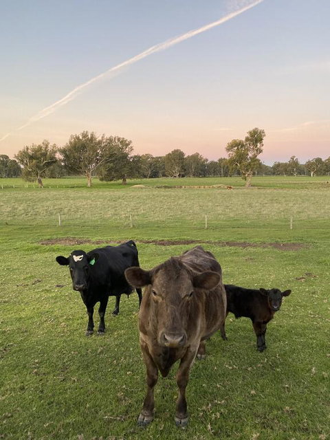 Holly House BnB - Accommodation Main Beach 1