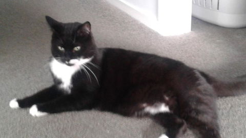 Home Away From Home - Accommodation Main Beach 2