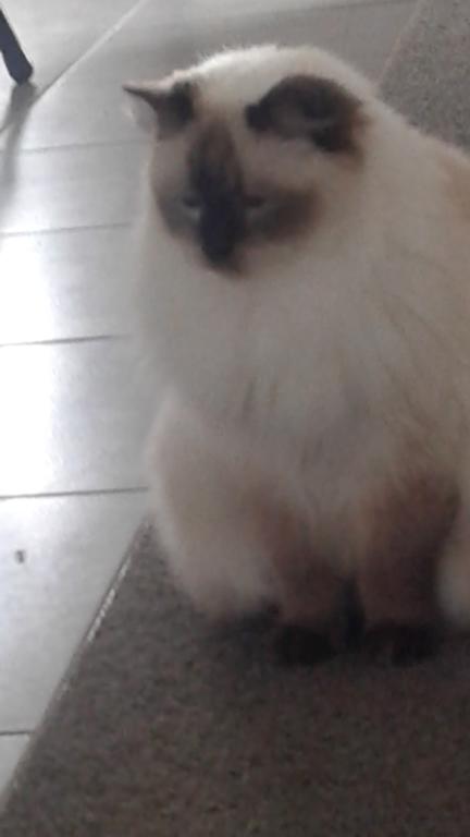 Home Away From Home - Accommodation Main Beach 1