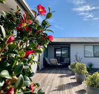 Homely Getaways in Surf Beach - Pet Friendly - Accommodation Main Beach