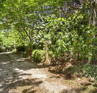 Jalscene - Accommodation Main Beach