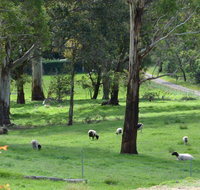 JAN'S ART STUDIO AT ASHBY RISE - Accommodation Main Beach