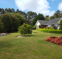 Jarrah - Accommodation Main Beach