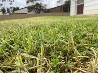 Book Karoonda Accommodation Vacations Accommodation Main Beach Accommodation Main Beach