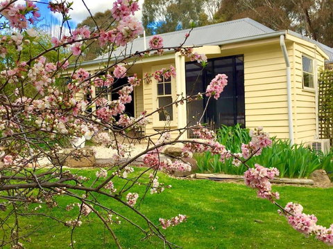 Koovelly Garden Studio - Accommodation Main Beach 2