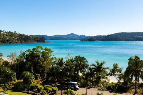 Lagoon 201 - Accommodation Main Beach 2