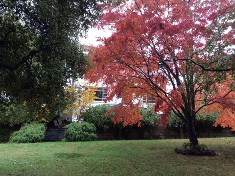 Lakeshore House, Daylesford - Accommodation Main Beach 2