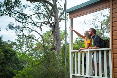 Lane Cove Holiday Park - Accommodation Main Beach 1