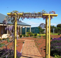 Lavendale Farmstay and Cottages York - Accommodation Main Beach