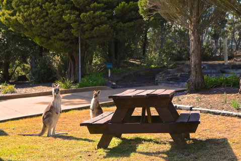Leura Lodge At Mt Victoria - Accommodation Main Beach 2