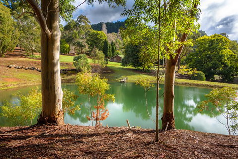 Lewana Cottages - Accommodation Main Beach 1