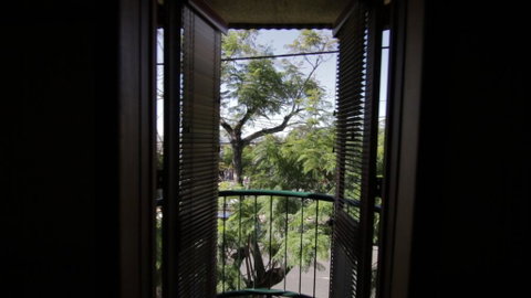 Manly Hotel - Accommodation Main Beach 2