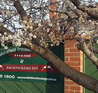 Mansfield Travellers Lodge - Accommodation Main Beach