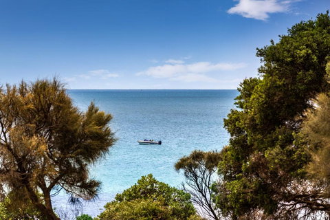 Mills Beach Retreat Luxury Family Retreat With Hydrotherapy Spa, Opposite Beach, Walk To Village - Accommodation Main Beach 2