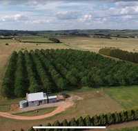 Millthorpe Truffles - Gorgeous getaway for 2 - Accommodation Main Beach