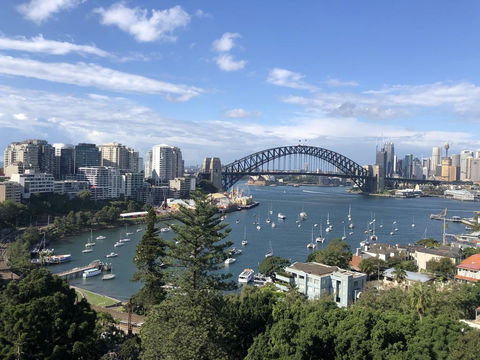 MLB38-Panoramic View Studio Near Sydney Harbour - Accommodation Main Beach 0
