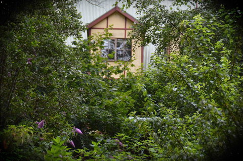 Mountain Lodge - Accommodation Main Beach 1