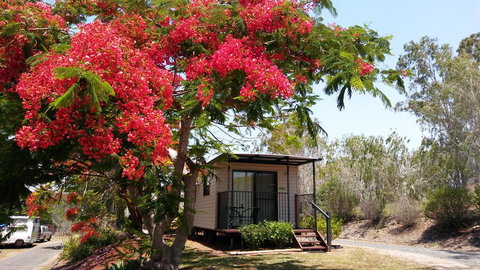 Mt Larcom Tourist Park - Accommodation Main Beach 0