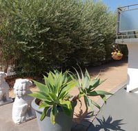 Mt.Lawley superb 2 BR Apartment Ideally located 5 - Accommodation Main Beach