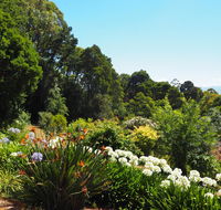 Murrindindi - Accommodation Main Beach