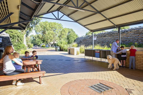 Discovery Parks - Woodman Point - Accommodation Main Beach 32