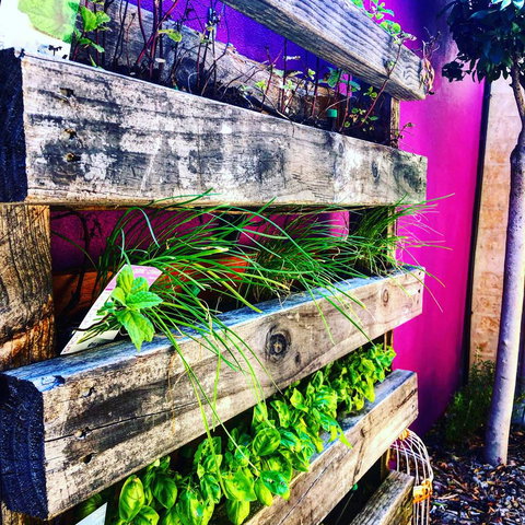 BeachHideaway@Scarborough - Accommodation Main Beach 11