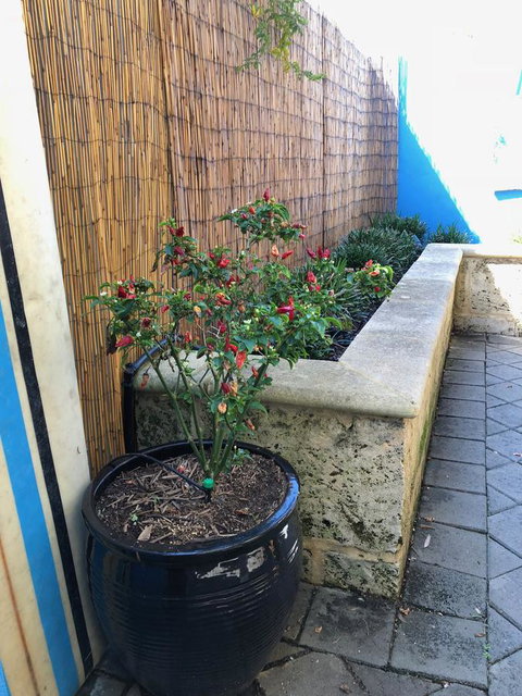 BeachHideaway@Scarborough - Accommodation Main Beach 33