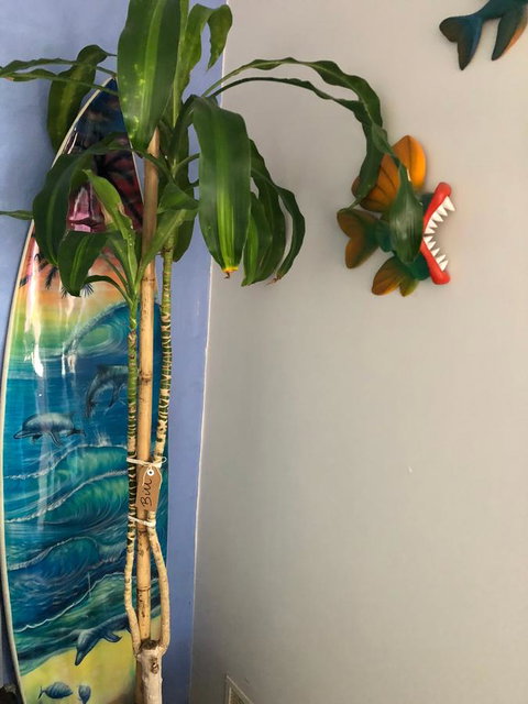 BeachHideaway@Scarborough - Accommodation Main Beach 28