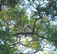 Jacaranda Hideaway Bed  Breakfast - Accommodation Main Beach