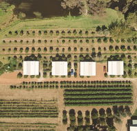 Swan Valley Sisters - Accommodation Main Beach