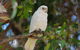 Margaret River Hideaway & Farmstay - thumb 26