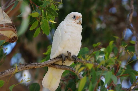 Margaret River Hideaway & Farmstay - Accommodation Main Beach 26