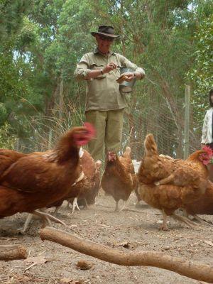 Margaret River Hideaway & Farmstay - Accommodation Main Beach 28