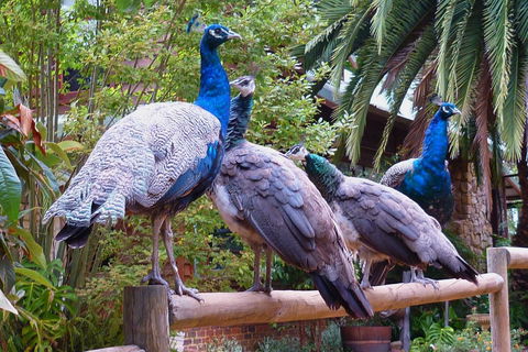 Margaret River Hideaway & Farmstay - Accommodation Main Beach 19