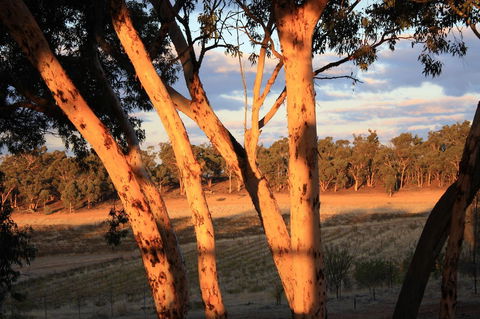 Hotham Ridge Estate - Accommodation Main Beach 30