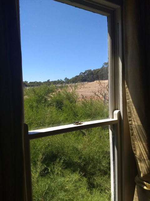 Hotham Ridge Estate - Accommodation Main Beach 8